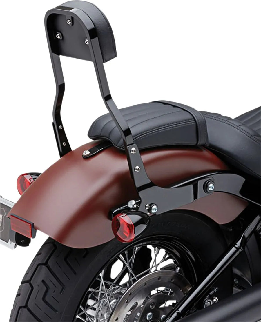 Harley-Davidson Street Bob [COBRA] – Kit de encosto removível