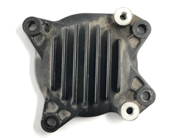 Yamaha XT 1200 Z Super Tenere DP01 [2012] - Cobertura do motor - 0