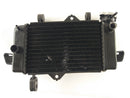 Yamaha YZF 125 RE06 [2011] - Cooler de água fria-3