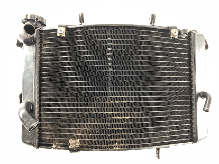 Triumph Street Triple R 675 D67LD [2008] - Cooler de água fria