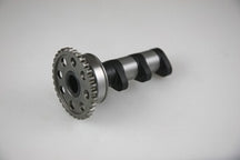 Kawasaki KLX 400 R (KLX 400 B) [2003-2004] - Escape da árvore de cames - Estágio 1