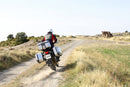 Honda nº 750 [SHAD] - Caixa lateral direita TR47 Terra-10