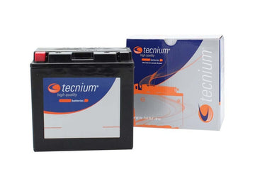 Yamaha Xt 660 Z Tenere [TECNIUM] - Bateria livre de manutenção ativada de fábrica - BT9B-4