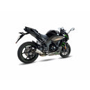 Kawasaki Ninja 1000 [IXIL] - Silenciador RC em aço inoxidável / tampa final em carbono - CK7294RC