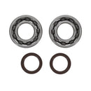 Ktm Sx 250 [PROX] - Kit de rolamento do virabrequim e retentor de óleo