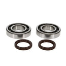 Kawasaki Kx 250 [PROX] - Kit de rolamento de virabrequim e retentor de óleo - Kawasaki KX250F / X