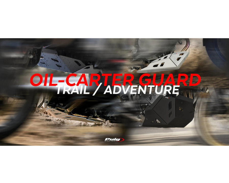 BMW R 1250 GS [2024] – Proteção do motor – Prata