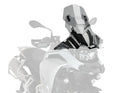 CFMOTO 450 SR [2025] – Tela Z-Racing – Transparente-2
