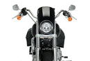 HARLEY DAVIDSON SOFTAIL LOW RIDER FXLR [2020] – Anarquia – Preto-3