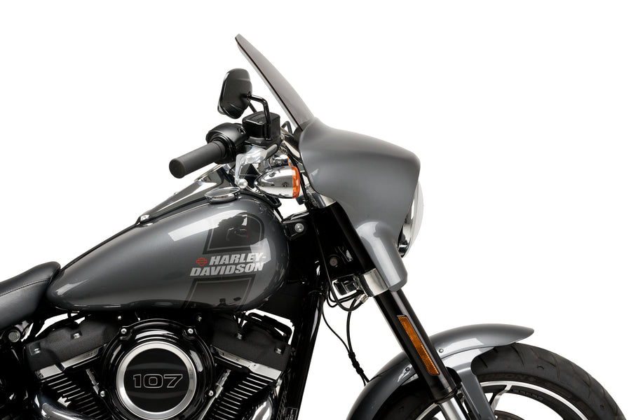 HARLEY DAVIDSON SOFTAIL SPORT GLIDE FLSB [2025] – Touring em alta estrada – Colorido