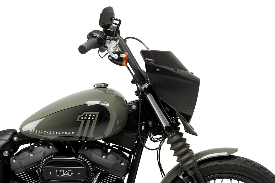 HARLEY DAVIDSON SOFTAIL STREET BOB FXBB [2019] – Mirage – Colorido