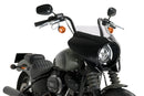 HARLEY DAVIDSON SOFTAIL STREET BOB FXBB [2019] – Mirage – Colorido-38