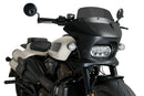 HARLEY DAVIDSON SPORTSTER S RH 1250 S [2024] – Fúria – Transparente-47