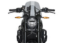 INDIAN FTR 1200 SPORT [2025] – Nova Geração Sport – Colorido-3