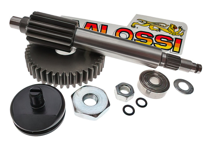 Aprilia SR Netscaper 50 2T LC - Engrenagem primária 14/42 com rolamentos de esferas