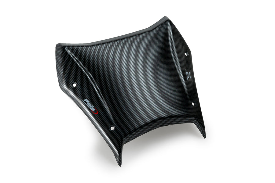 BMW R 1300 GS TROPHY [2025] – Nova Geração Sport Plus – Look Carbono