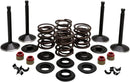 Harley Davidson FL Shovel [KIBBLEWHITE] - Kit de válvula de motor