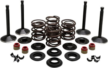 Harley Davidson Flfb [KIBBLEWHITE] - Kit de válvula do motor