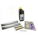 Harley Davidson Flhxse [HYPERPRO] – Molas de garfo para Harley Davidson