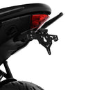 harley davidson flstf [ZIEGER] – Suporte de placa PRO tipo D-1