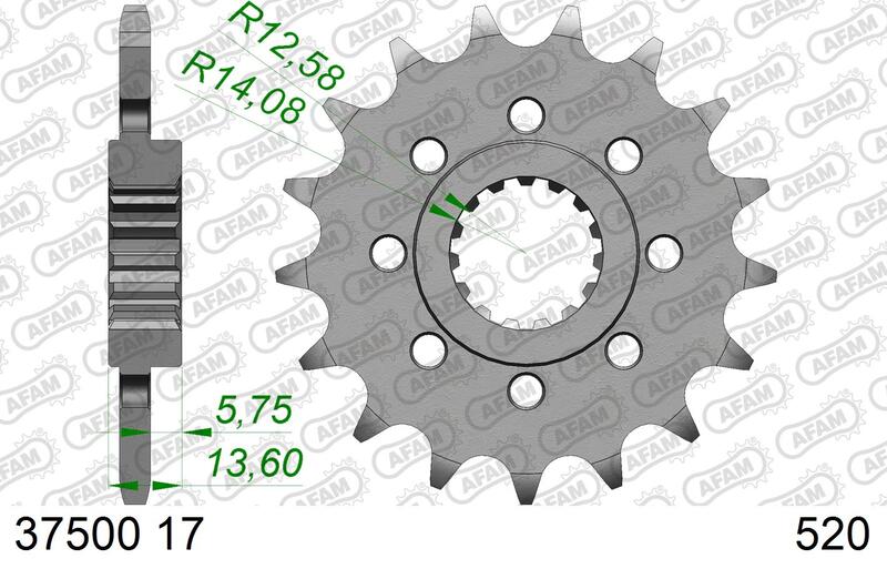 Aprilia Tuono 457 [2025-2026] - Kettenkit 520 XSR - 15/44-106 - Kettenrad Standard Stahl