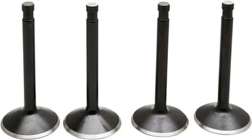 Harley Davidson Fxwg [KIBBLEWHITE] – Kit de válvula de motor Black Diamond™