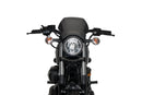 YAMAHA XV 950 R [2020] – Placa frontal ALU – prata-9