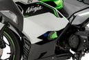 KAWASAKI NINJA E-1 [2025] – Crash Pads R19 – Preto-1