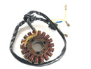 Husaberg Fe 501 [2002] - Stator de alternador-1