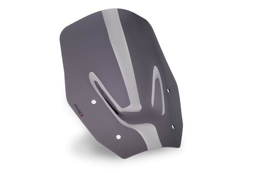 BMW R 1300 GS TROPHY [2025] – Tela Padrão – Transparente