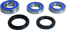 BMW F 900 [ALL BALLS] – conjunto de rolamentos de roda