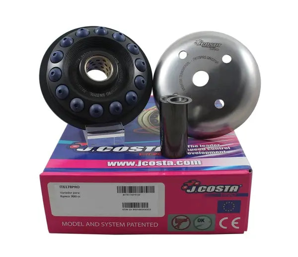Kymco Xciting 300 I R [2008-2011] - Variator Pro – Bild 2