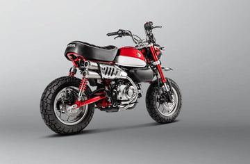 HONDA Z 125 [2019-2025] - Escape Slip-On Line (Titânio)