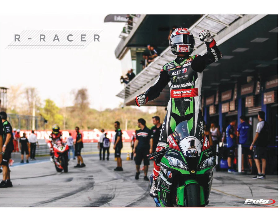 KAWASAKI ZX-10RR NINJA PERFORMANCE [2018] – Tela R-Racer – fortemente colorida