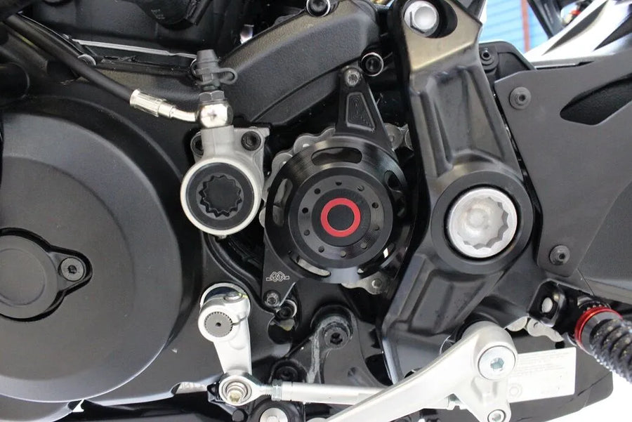 Ducati Monster 821 [Gilles Tooling] - Cobertura Pineager