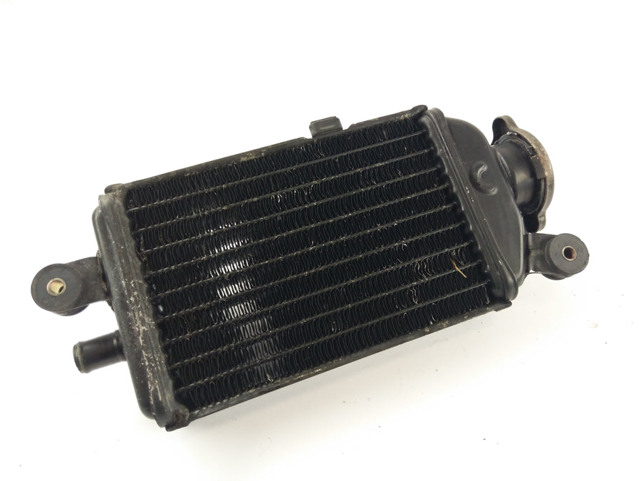 Yamaha DT 125 LC 10V [1982] - Cooler de água fria