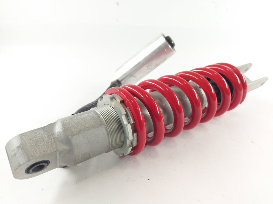 Triumph Daytona 955i T595N [2002] - Spring Shock absorvedor