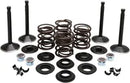 Harley Davidson FX Shovel [KIBBLEWHITE] - Kit de válvula de motor