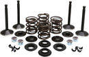 Harley Davidson FX Shovel [KIBBLEWHITE] - Kit de válvula de motor