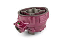 Beta RR-T SM 50 2T - Zylinderkit Due Plus 75 ccm