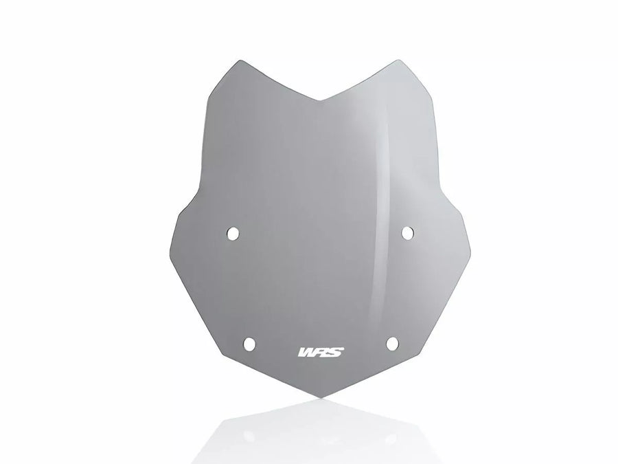 BMW R 1200 GS [WRS] – pára-brisa