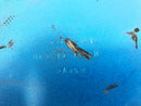 Kawasaki ZRX 1200 S ZRT20A [2003] - Parte do meio abaixo do disfarce-3