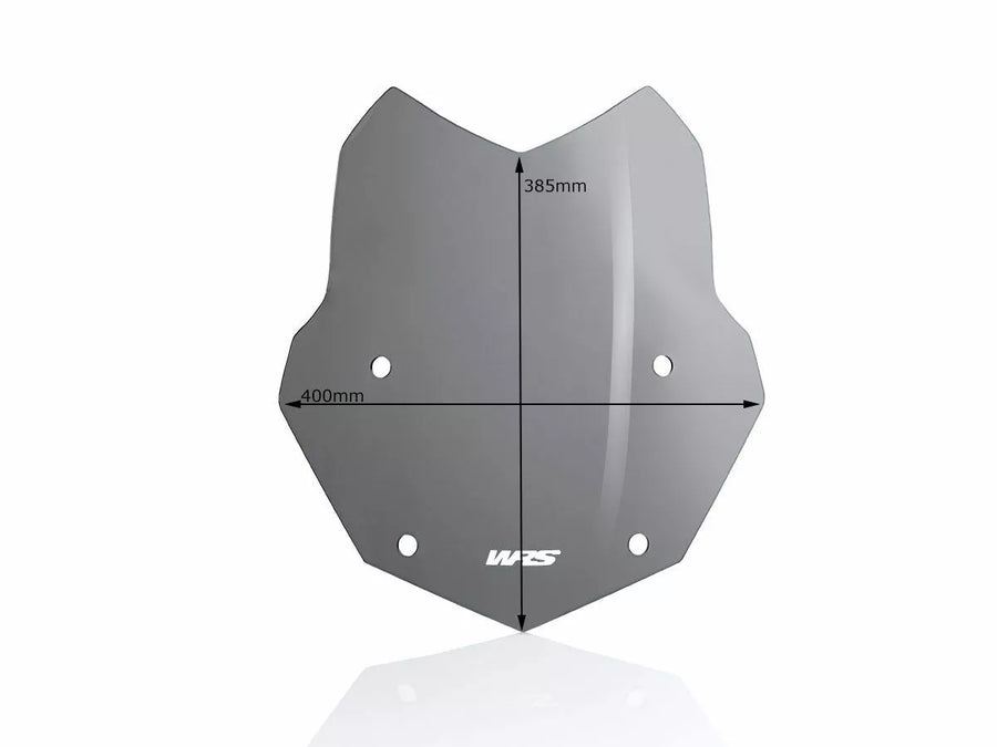BMW R 1200 R [WRS] - pára -brisa