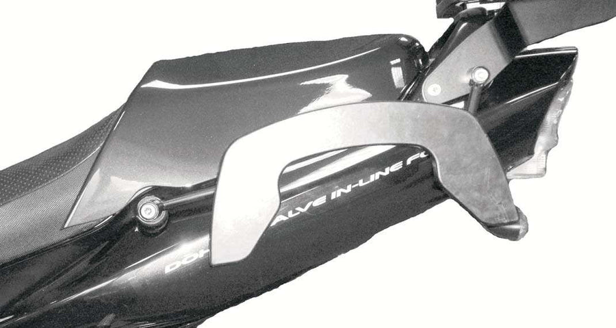 Suzuki GSF 1200 [2001-2005] -C-BOW Side Transportador