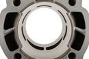 Rieju Spike 2 50 2T AM6 - Zylinderkit Big Racing 77ccm