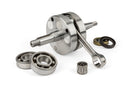 Beta RR-T SM 50 2T - Kurbelwelle TPR 100ccm Hub 47mm Pleuel 98mm
