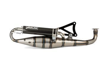 Aprilia SR Netscaper 50 2T LC - Escape C16 Carbono