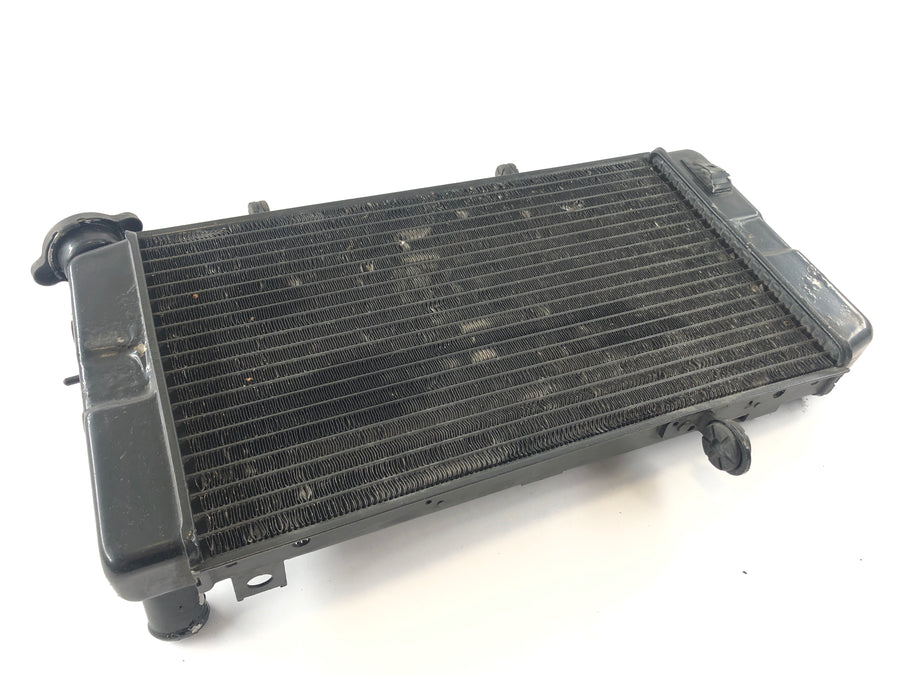 Suzuki DL 1000 V -Strom [2006] - Cooler de água fria