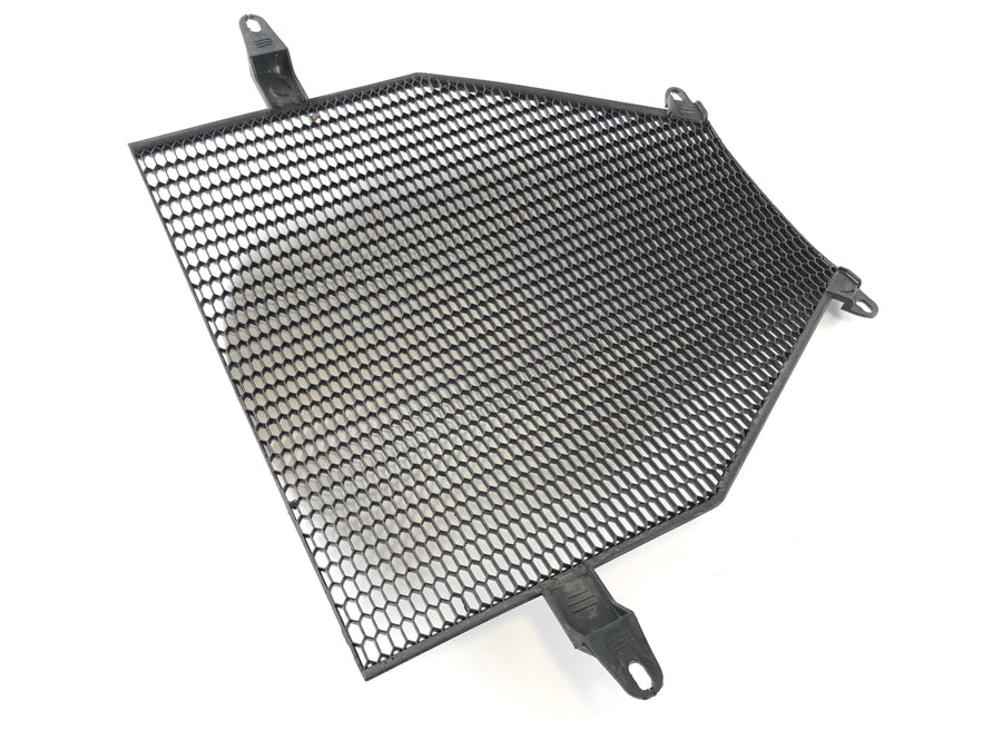 BMW K 1300 S K12S [2009] - Grilhas de resfriamento