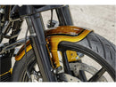 Harley Davidson Touring [RICK'S MOTORCYCLES] - Pára-choque dianteiro Touring-3